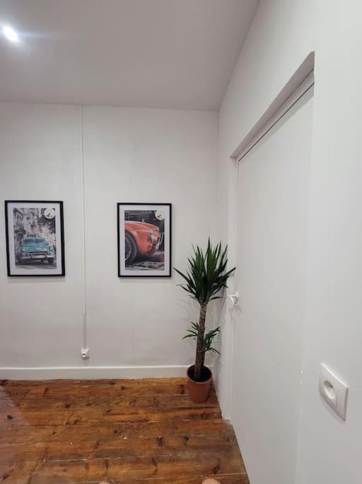 Appartement De Charme Avec Tomettes Et Parquet Graulhet 외부 사진